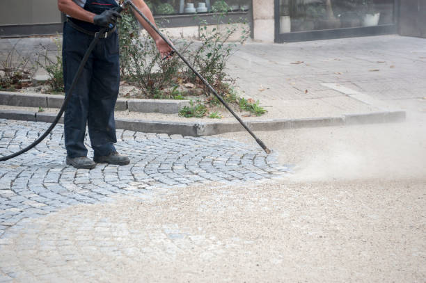 Best Gutter Cleaning  in Lake Lifornia, CA